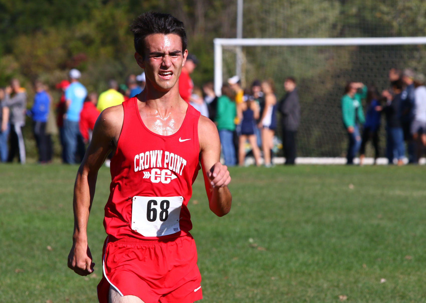 Gallery: Duneland Athletic Conference cross country meet